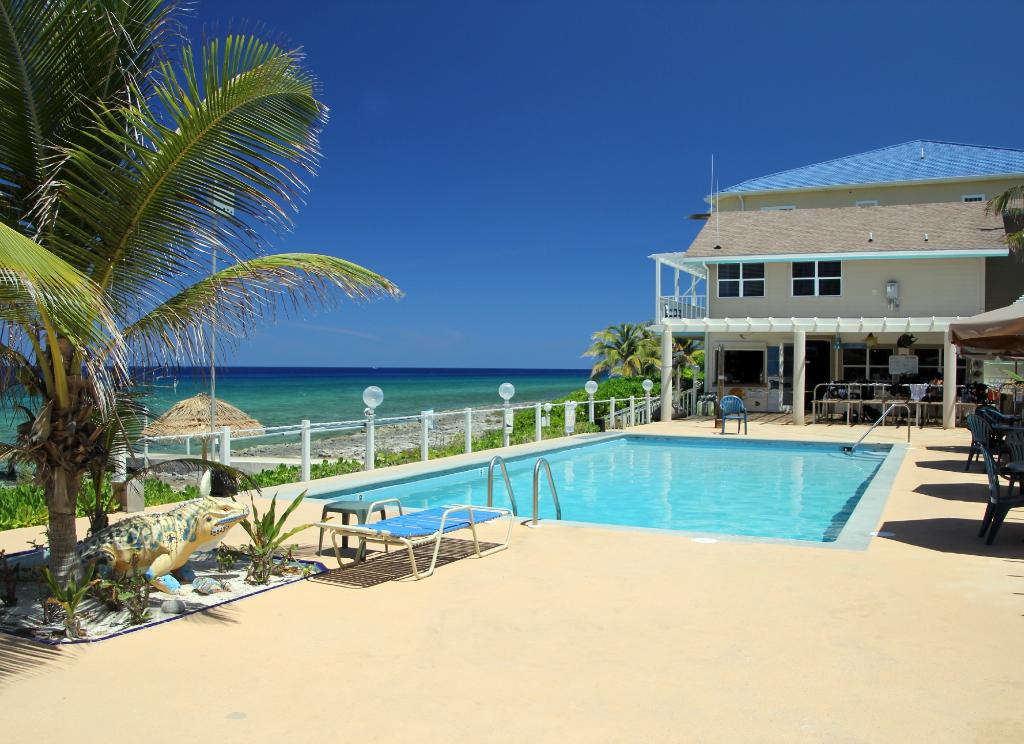 Poolside house by the ocean with a blue sky. Pool, palm tree, and fence visible.