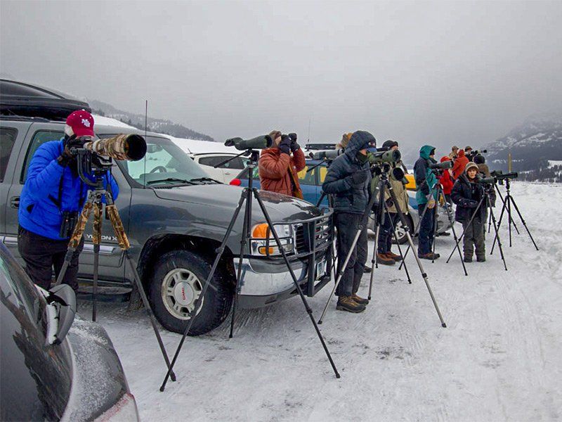 People with spotting scopes on tripods, snow-covered parking lot, cloudy sky.