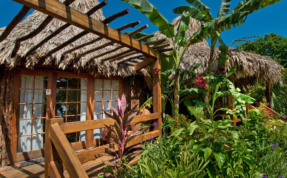 Wooden bungalow with thatched roof and lush tropical plants under a bright blue sky.