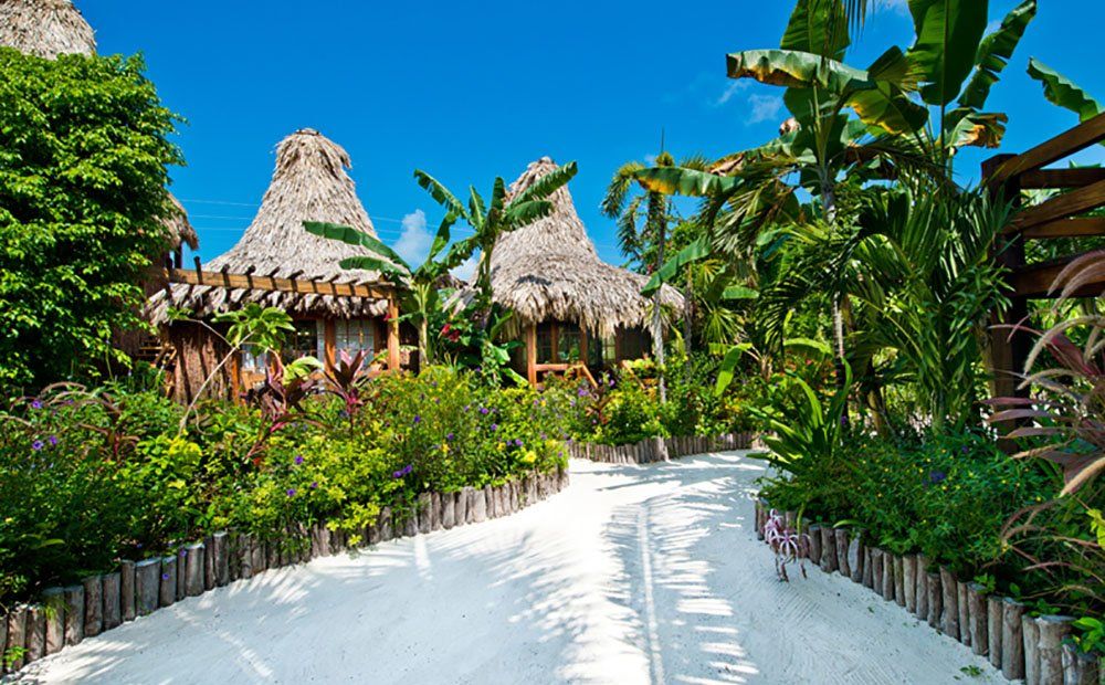 Pathway lined with wooden posts leads to thatched-roof bungalows surrounded by lush tropical vegetation. Bright blue sky overhead.