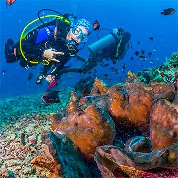Scuba diver in blue and black gear points at coral underwater, another diver in background.
