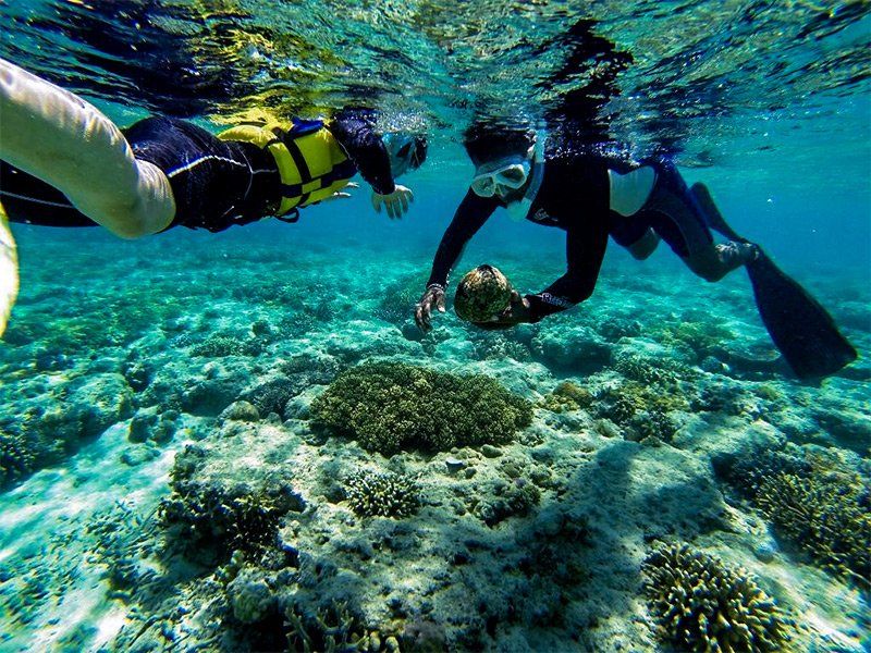 Two snorkelers explore a coral reef, one touching a rock. Turquoise water, sunny.