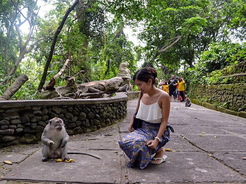 Woman crouches near monkey eating bananas on a path at a park.
