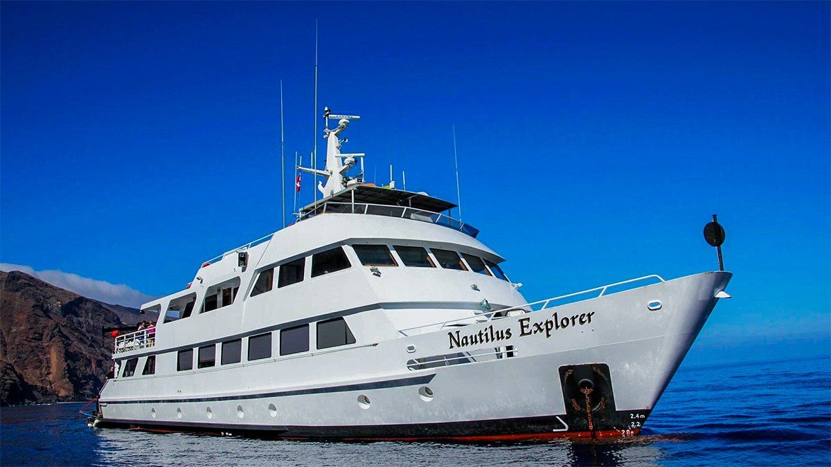 White yacht,