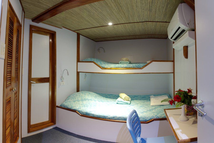 Bunk beds in a small cabin with a desk and an air conditioner.