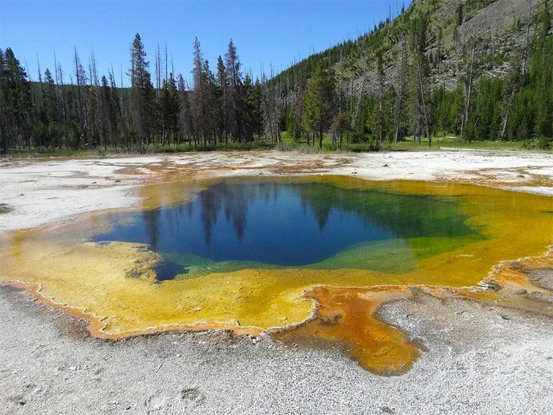 Yellowstone hot spring, vivid blue water surrounded by yellow and orange mineral deposits.