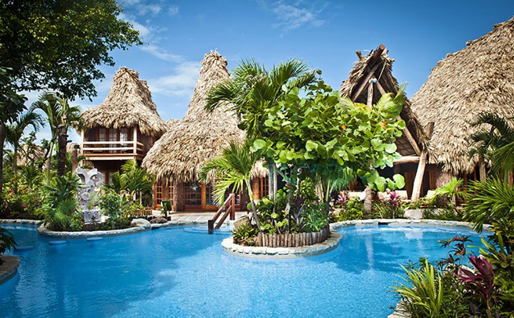 Pool with tropical resort buildings with thatched roofs and lush greenery.