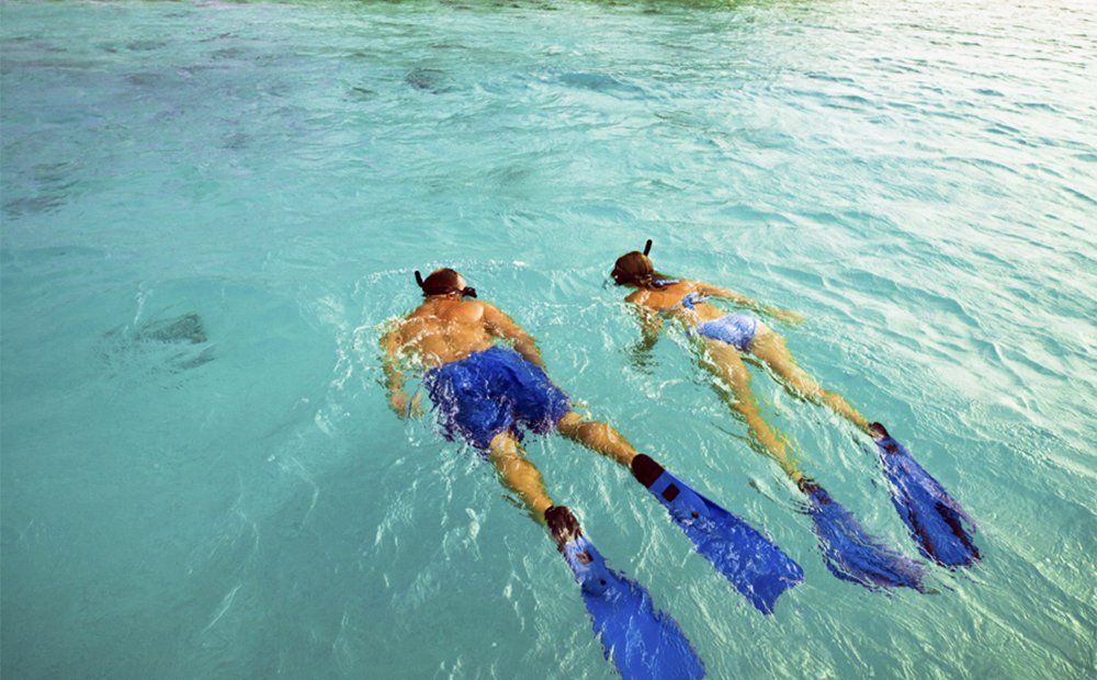 Two people snorkeling in clear blue water, wearing fins and snorkel gear.