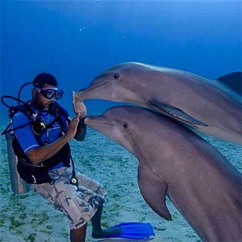 Scuba diver interacting with two dolphins underwater, touching noses, clear blue water.