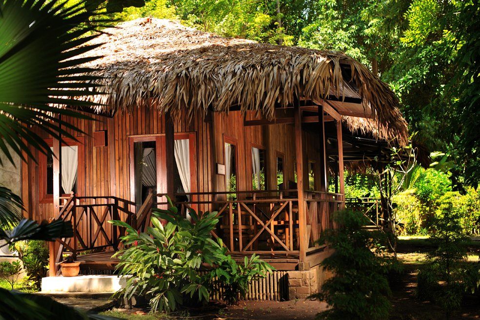 Wooden bungalow with thatched roof, surrounded by lush green foliage.