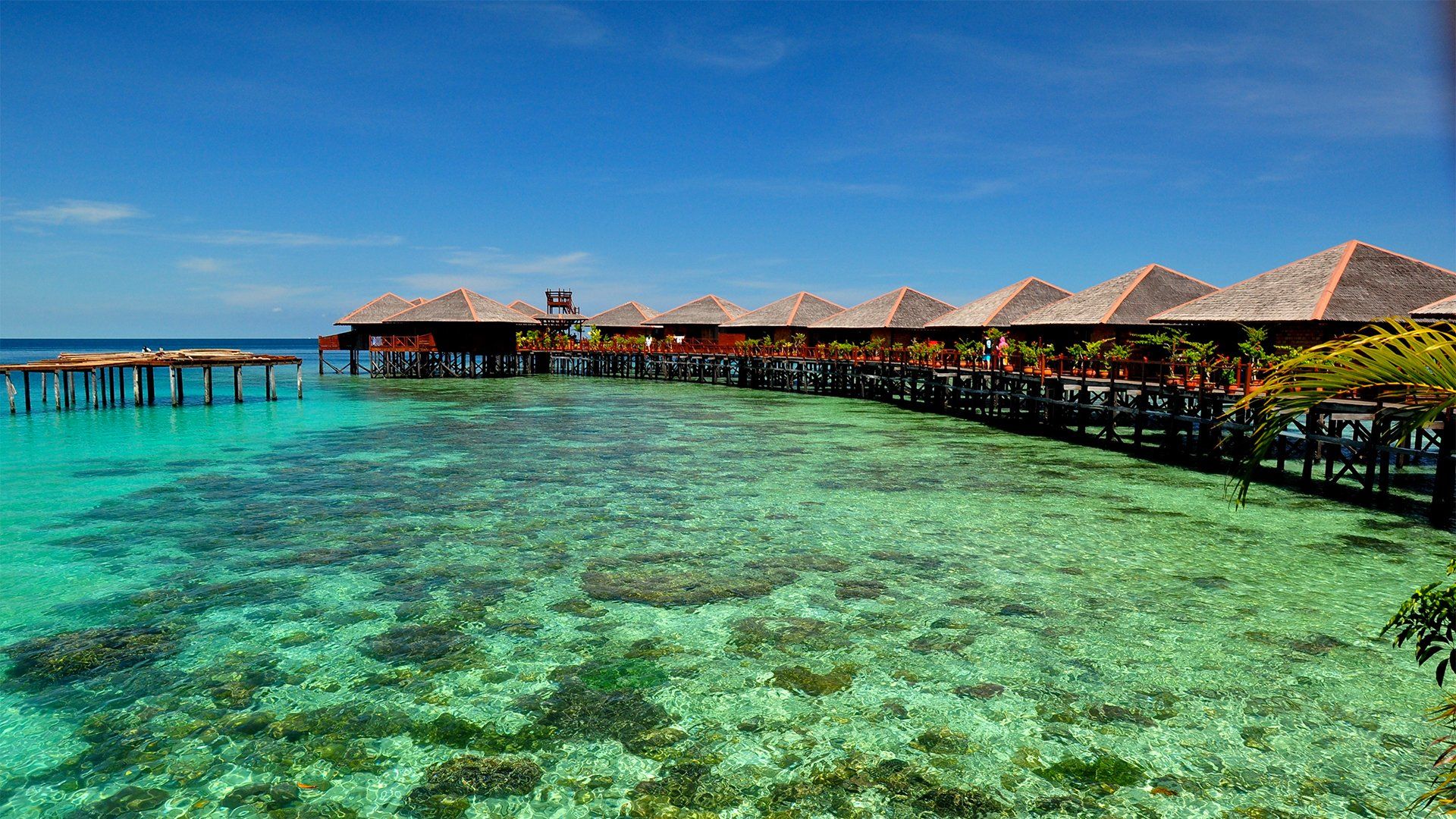Overwater bungalows in a tropical setting with clear turquoise water and blue sky.