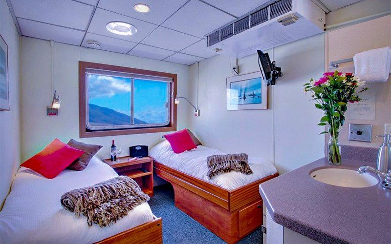Two beds in a room, window with a view, sink with flowers, small tv on wall.