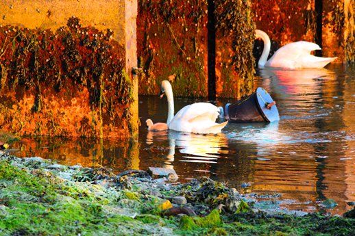 Yarmouth Harbour Isle of Wight