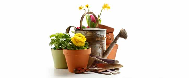 garden equipment