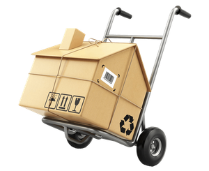 International Moving Service — Minneapolis, MN — Bester Bros Transfer & Storage Co International Moving Service — Minneapolis, MN — Bester Bros Transfer & Storage Co