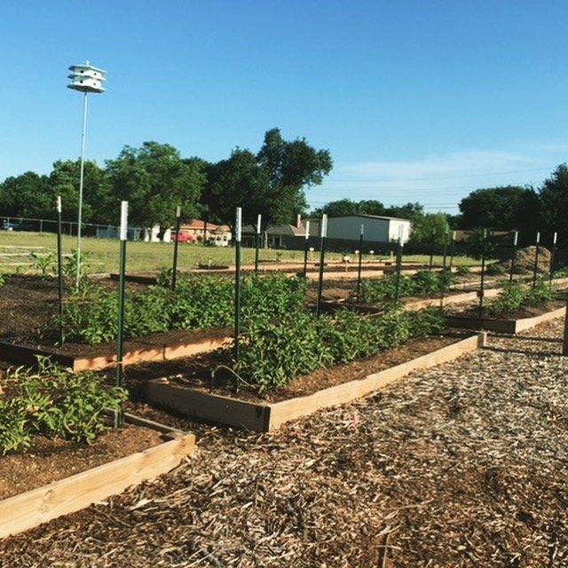 Gardens at Christ Community Gardens in Greenville, TX Gardens at Christ Community Gardens in Greenville, TX