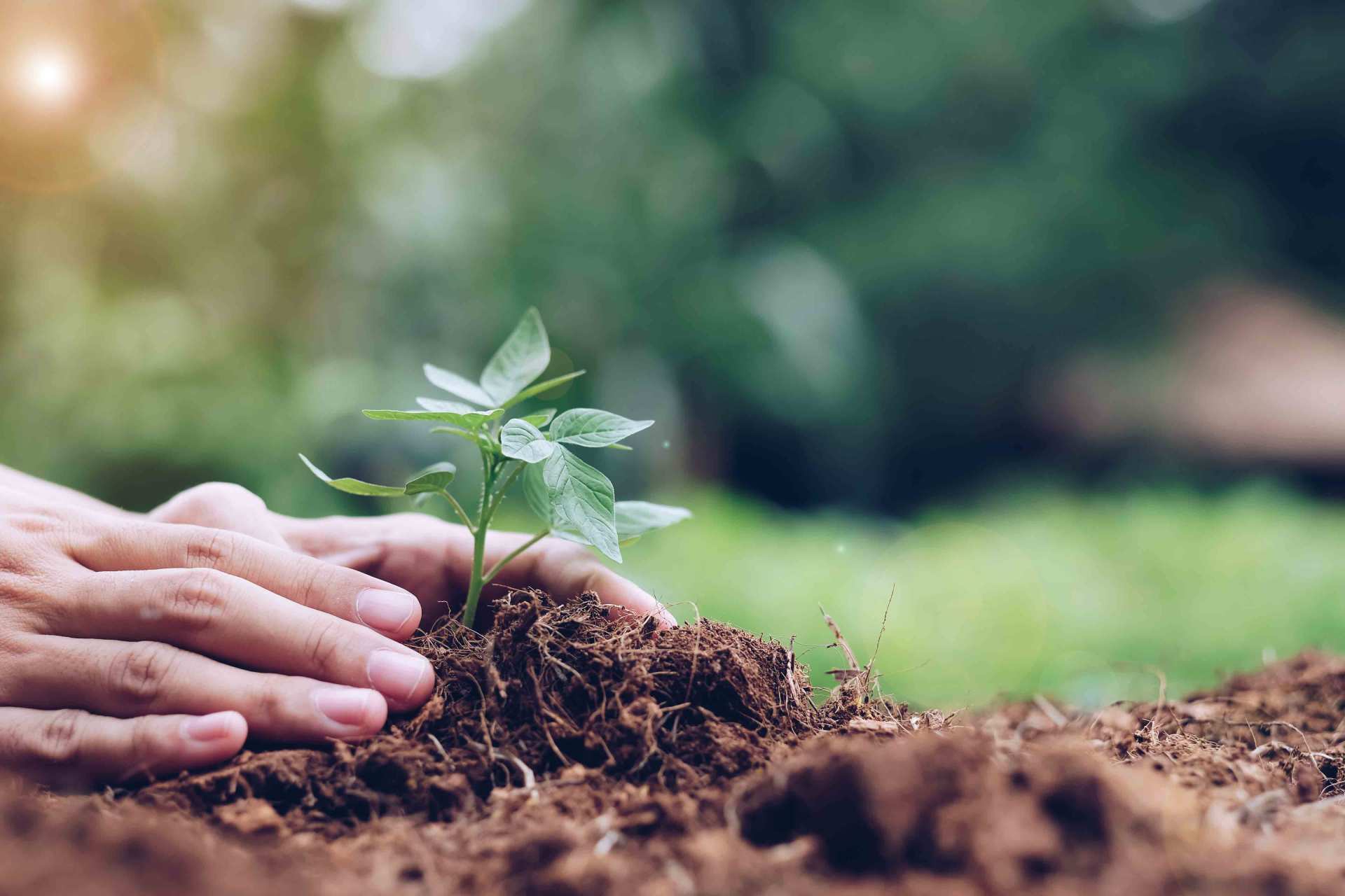 gardening