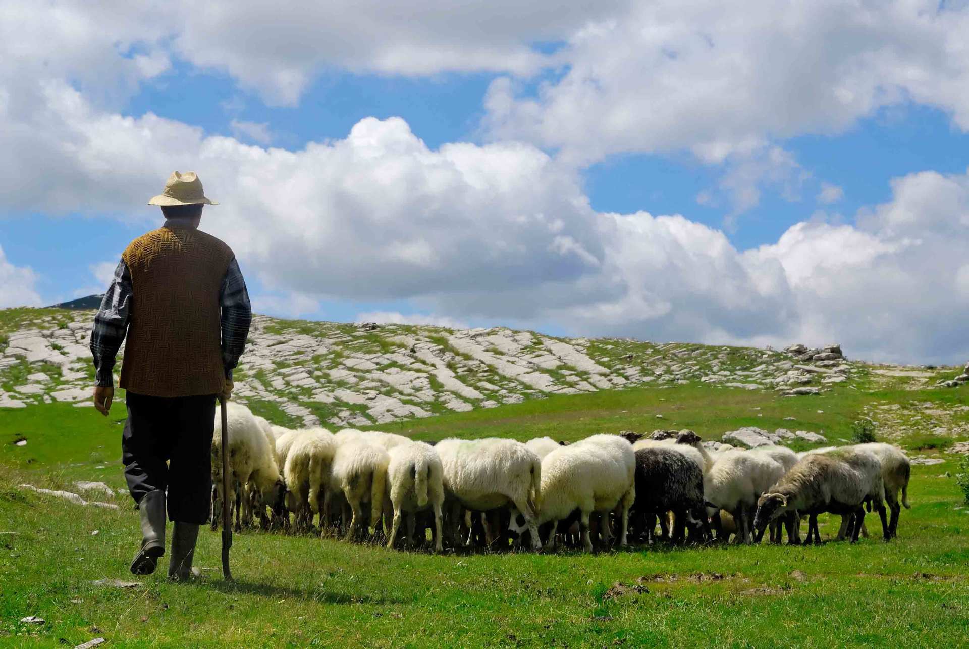 farmer