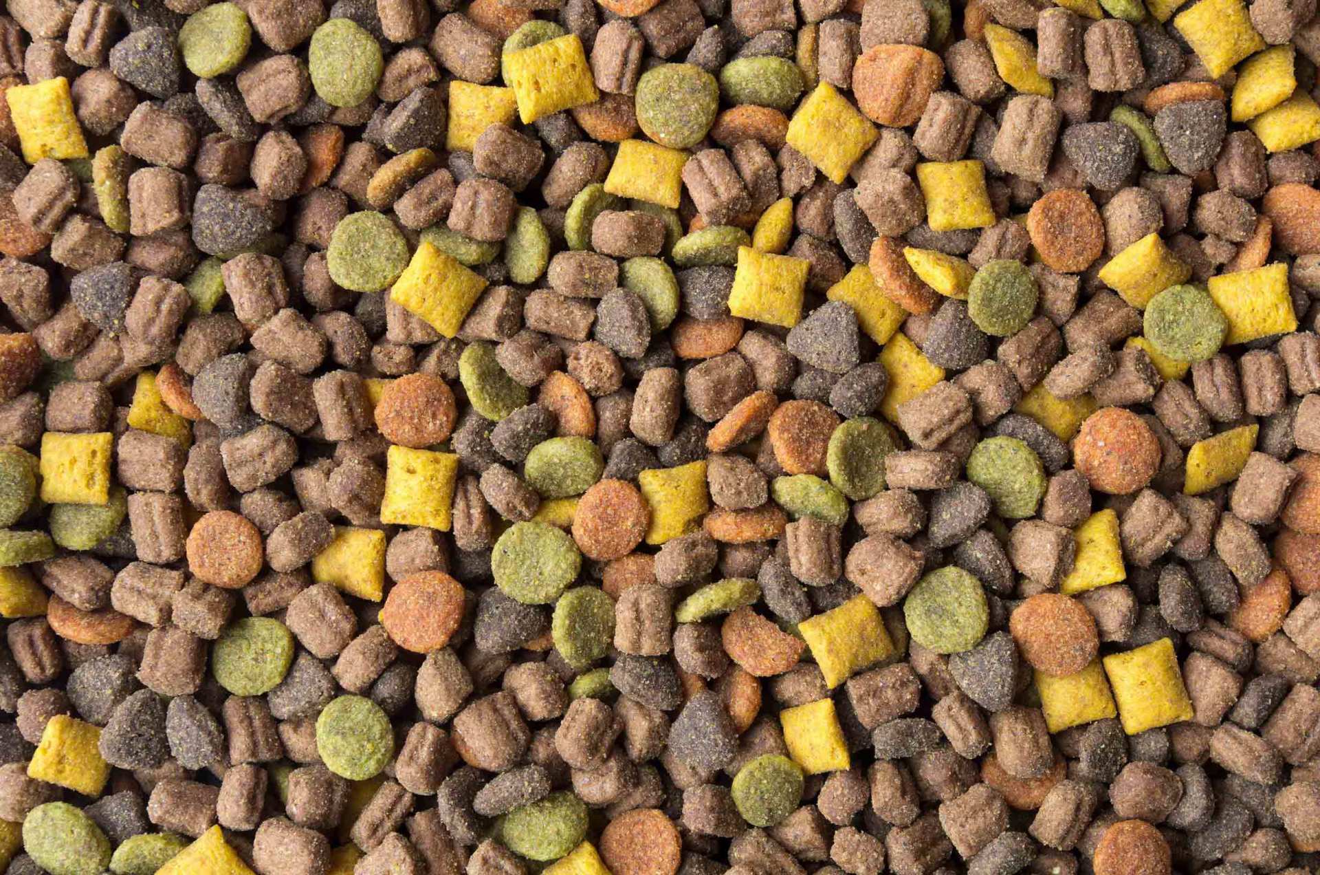 cat food