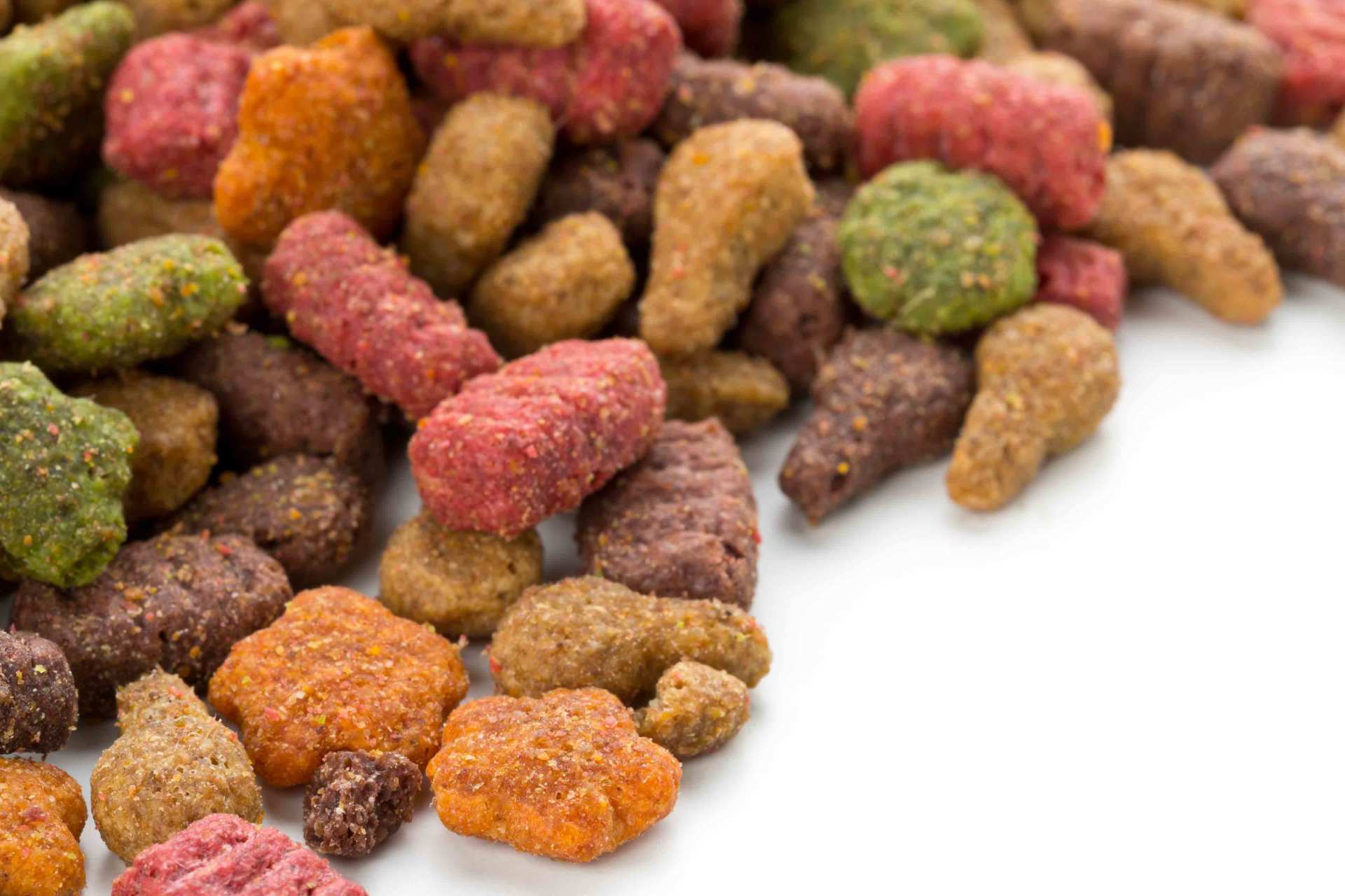 Cat foods
