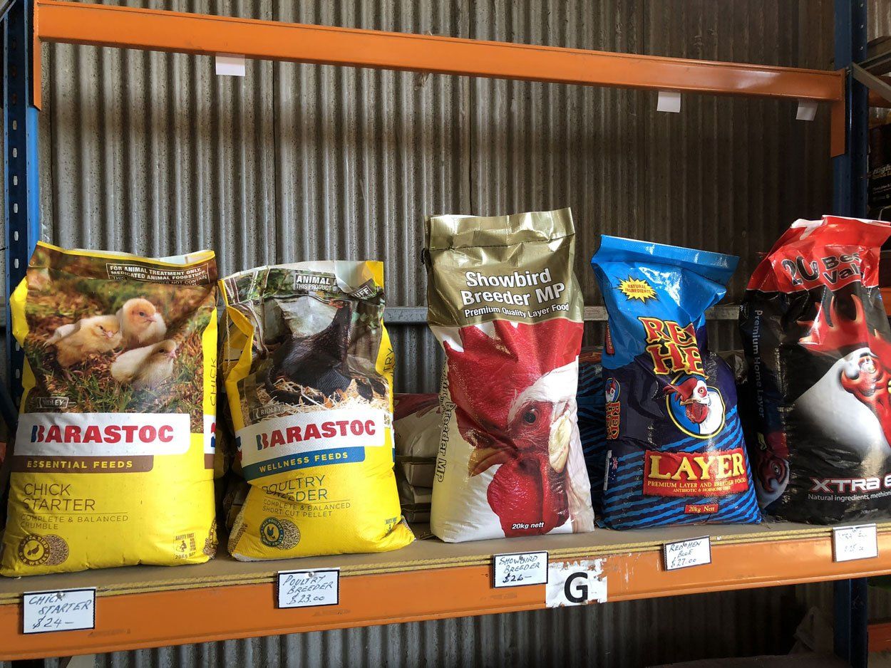 bird foods