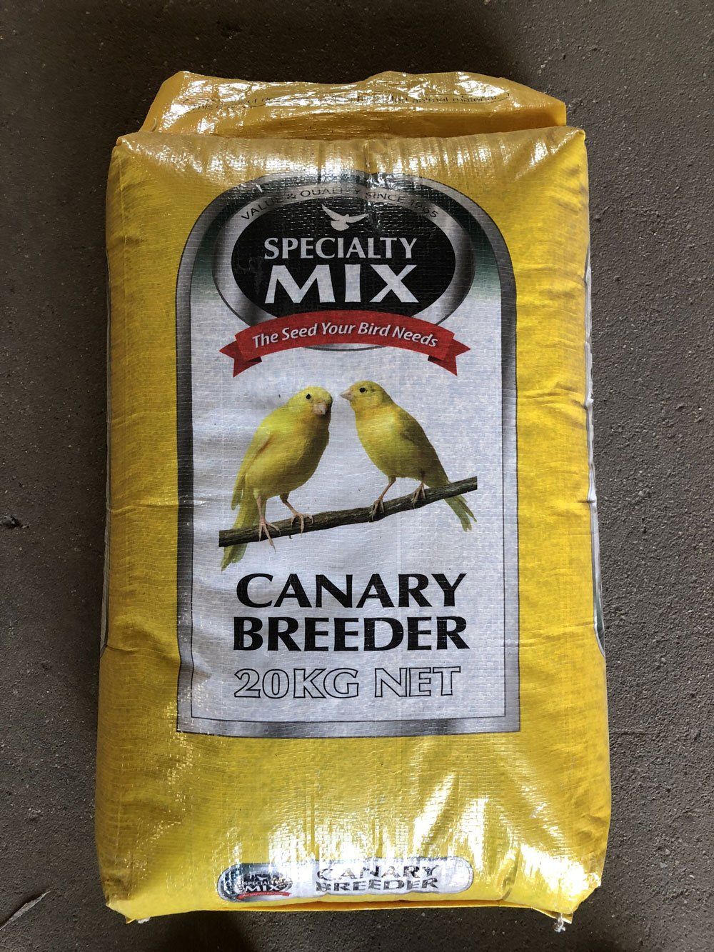 birds food