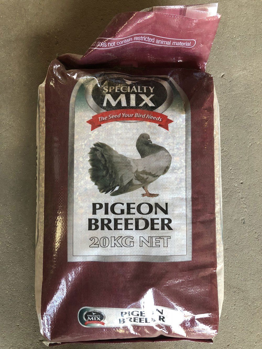 birds food