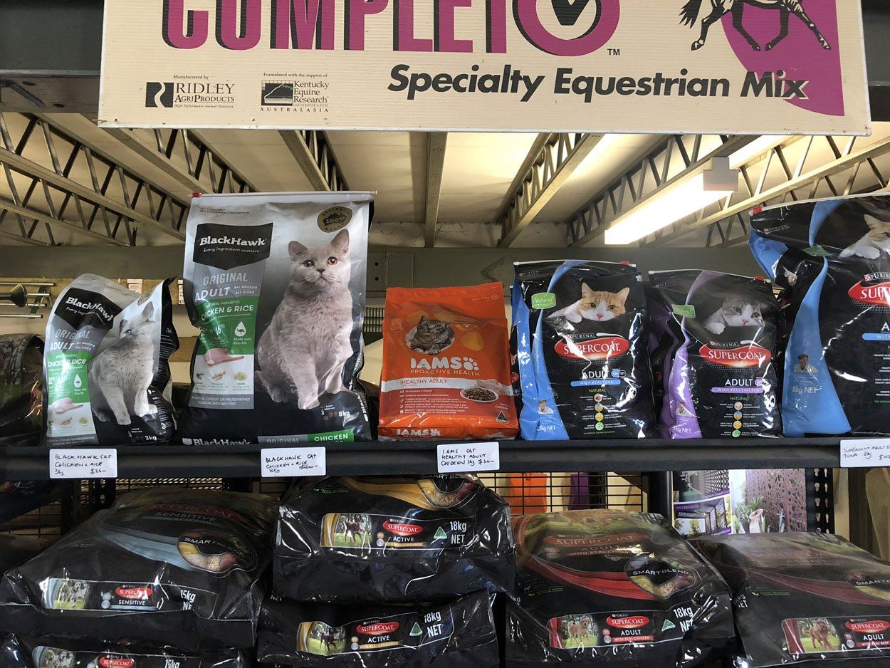 cats food