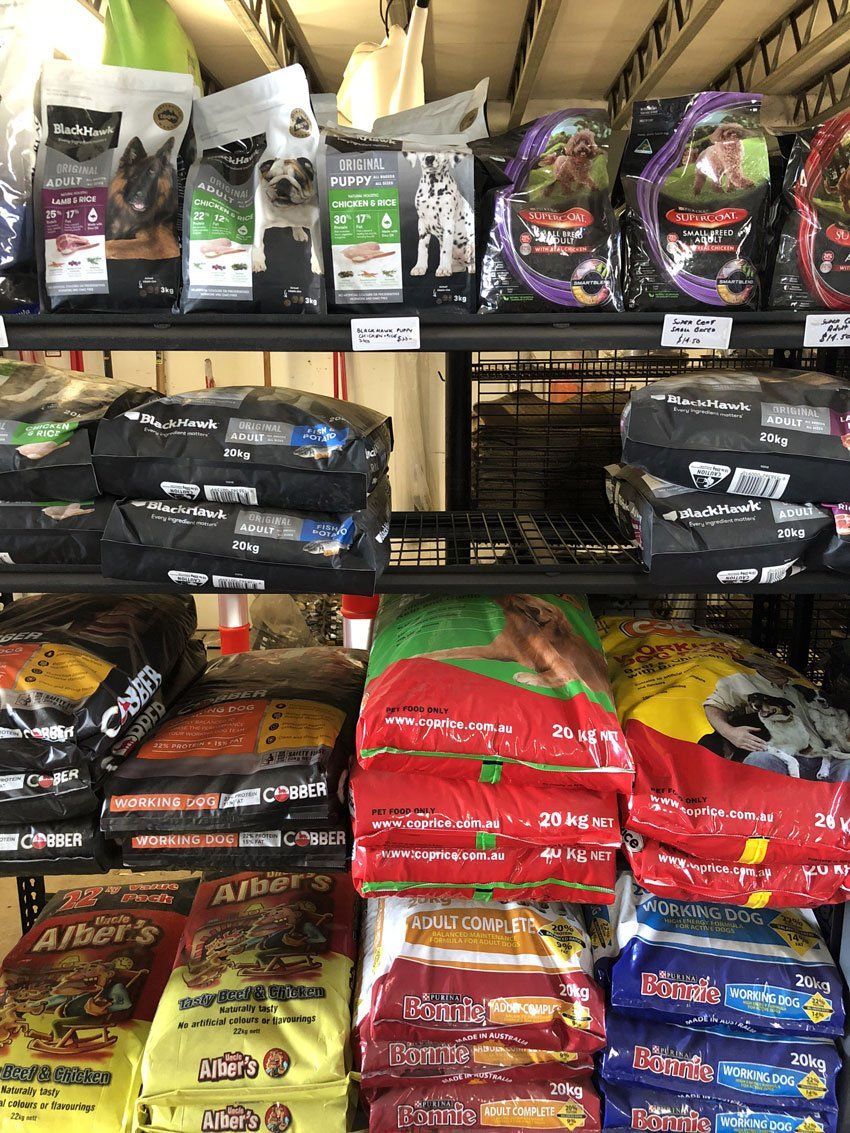 dogs food