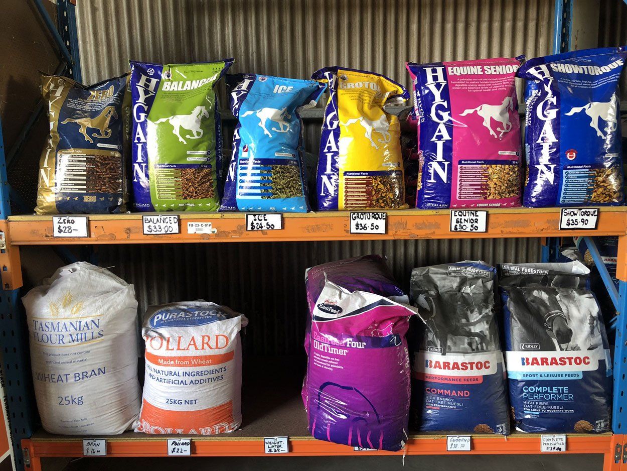 horse food