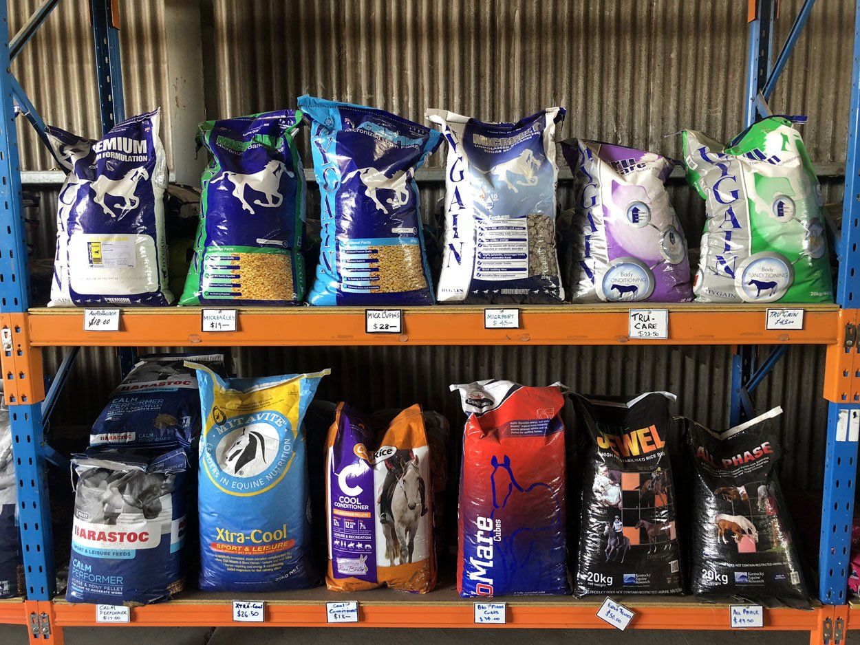 horse food