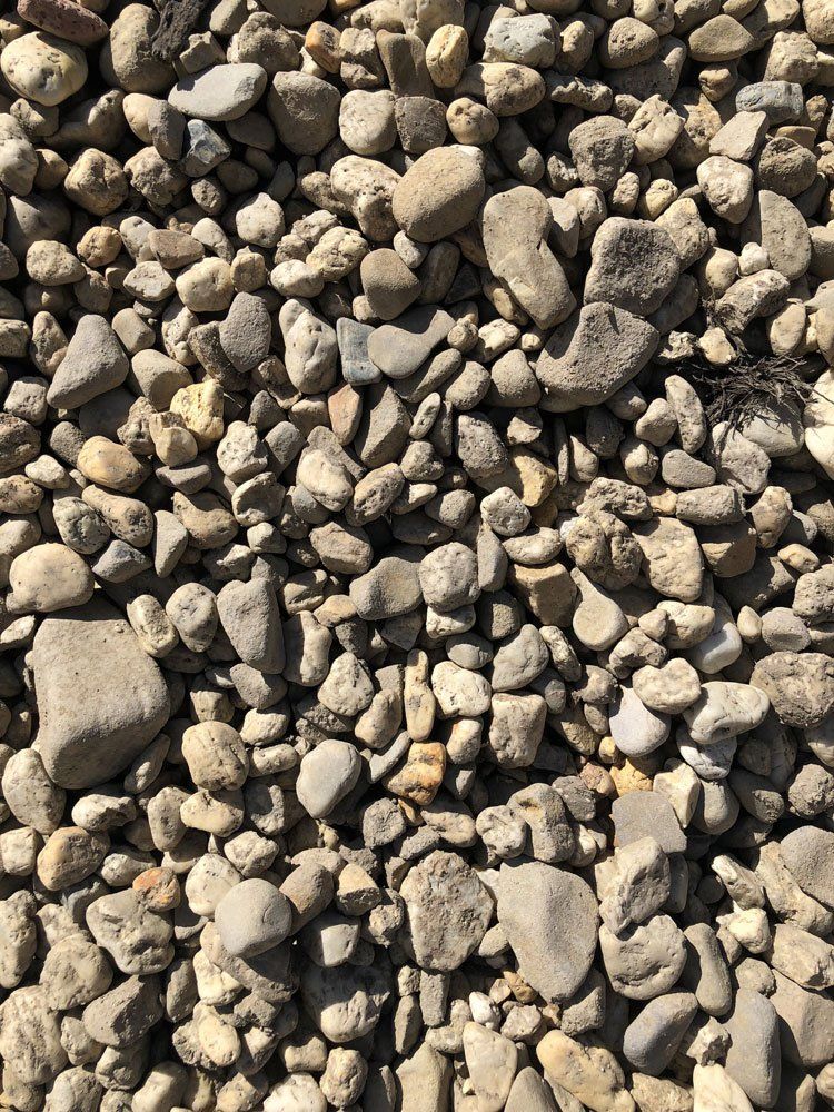 rocks