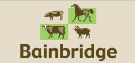 bainbridge