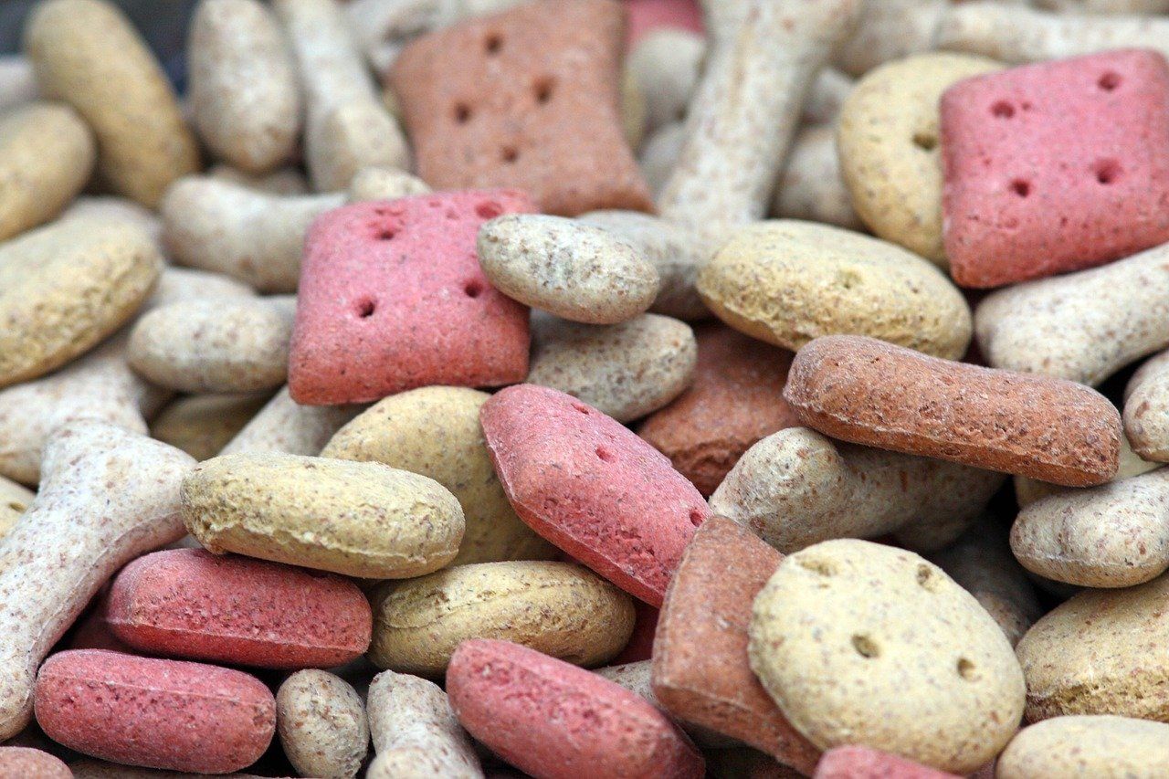 variety dog food