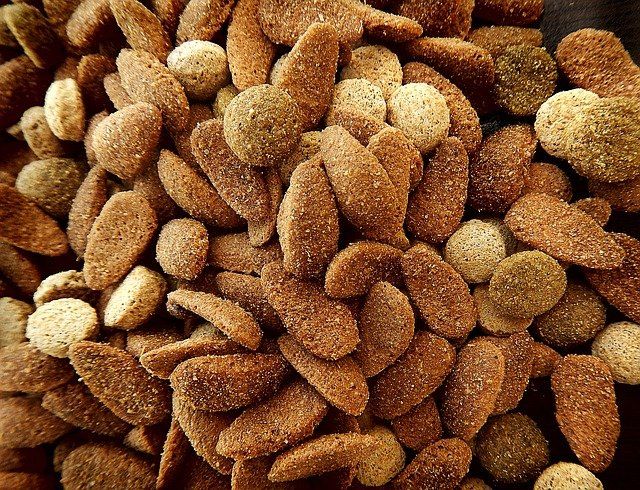 dog food