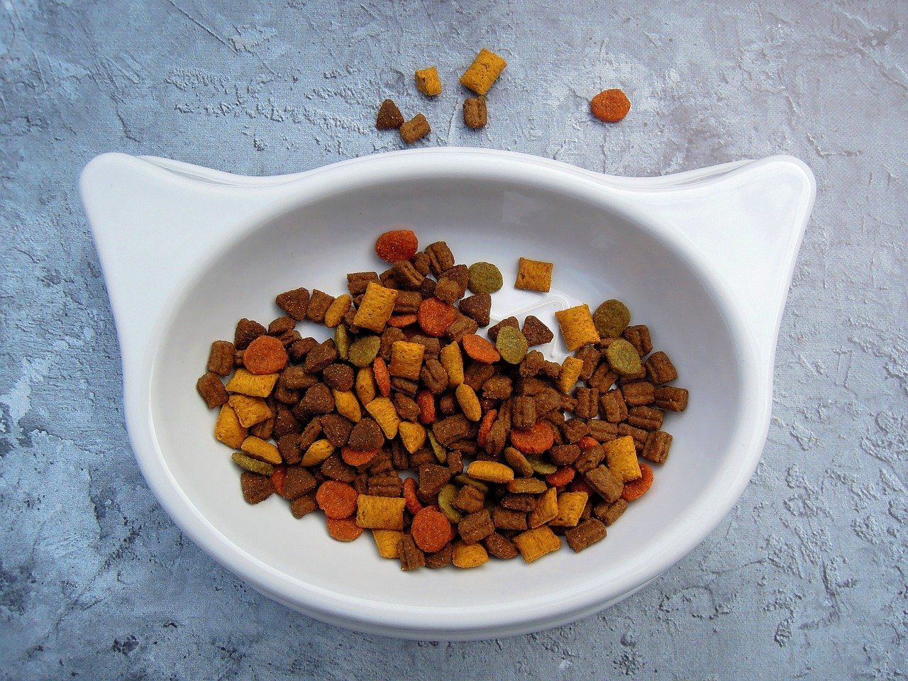 cat food on a cat shaped bowl