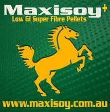 maxisoy