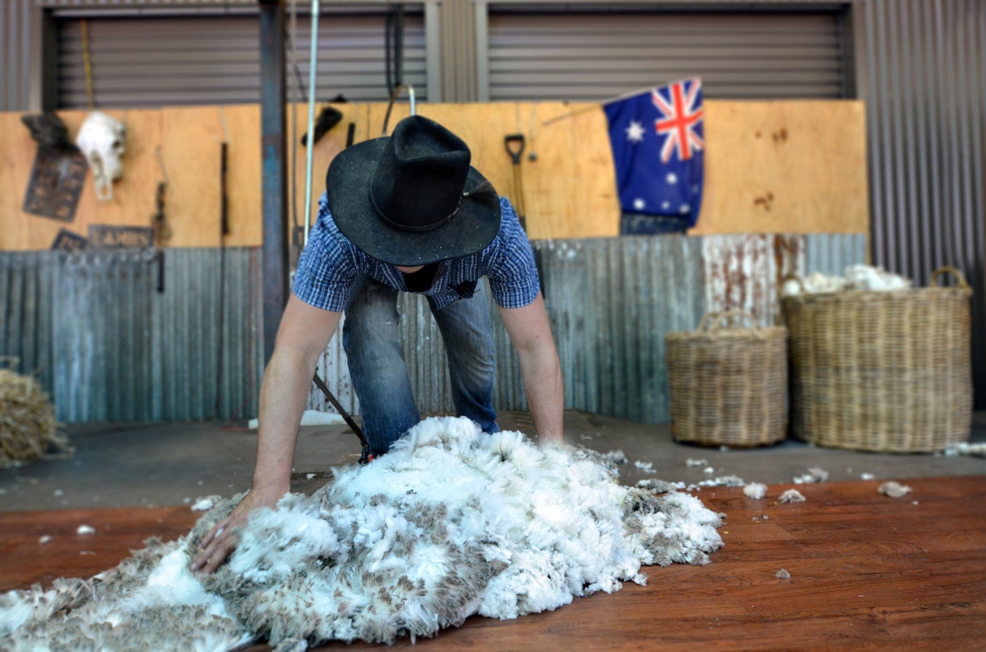 sheeps-man