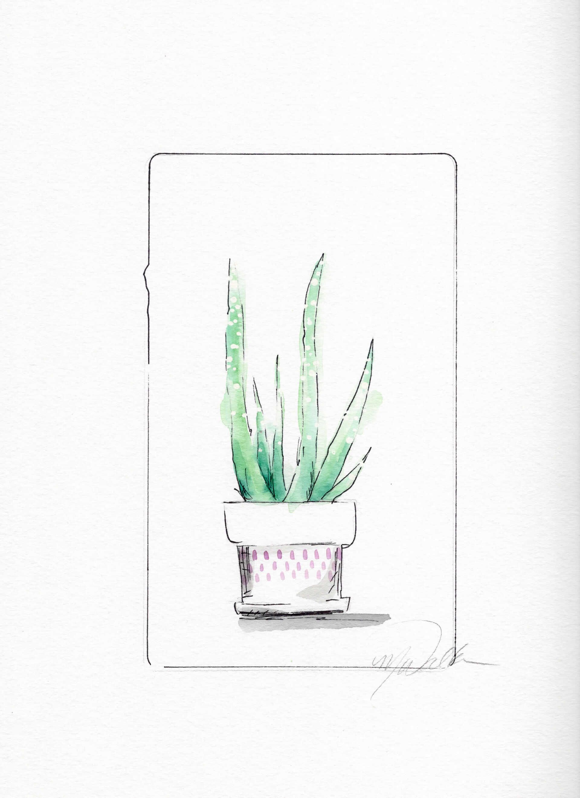 cactus custom illustrations commissions lease art home decor hotels