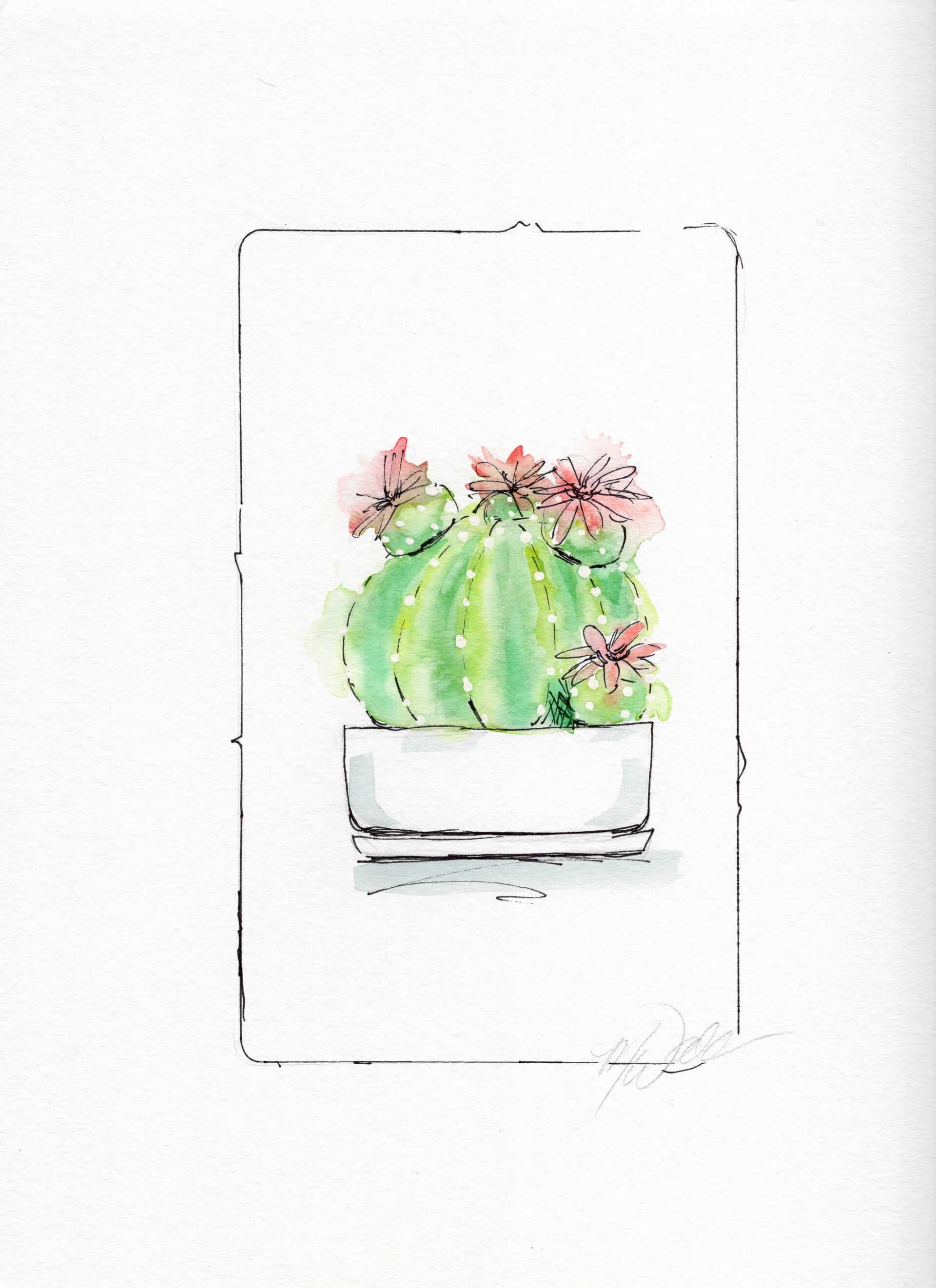 cactus custom illustrations commissions lease art home decor hotels