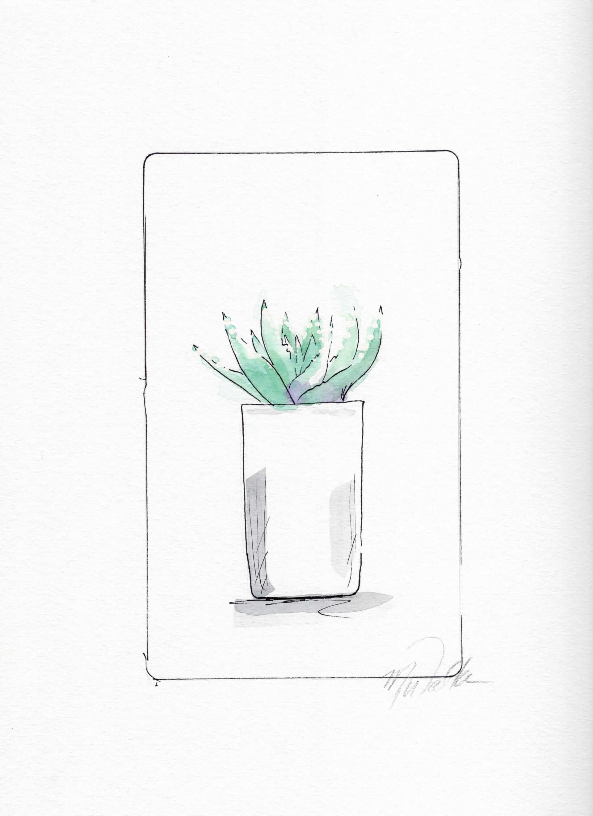 cactus custom illustrations commissions lease art home decor hotels