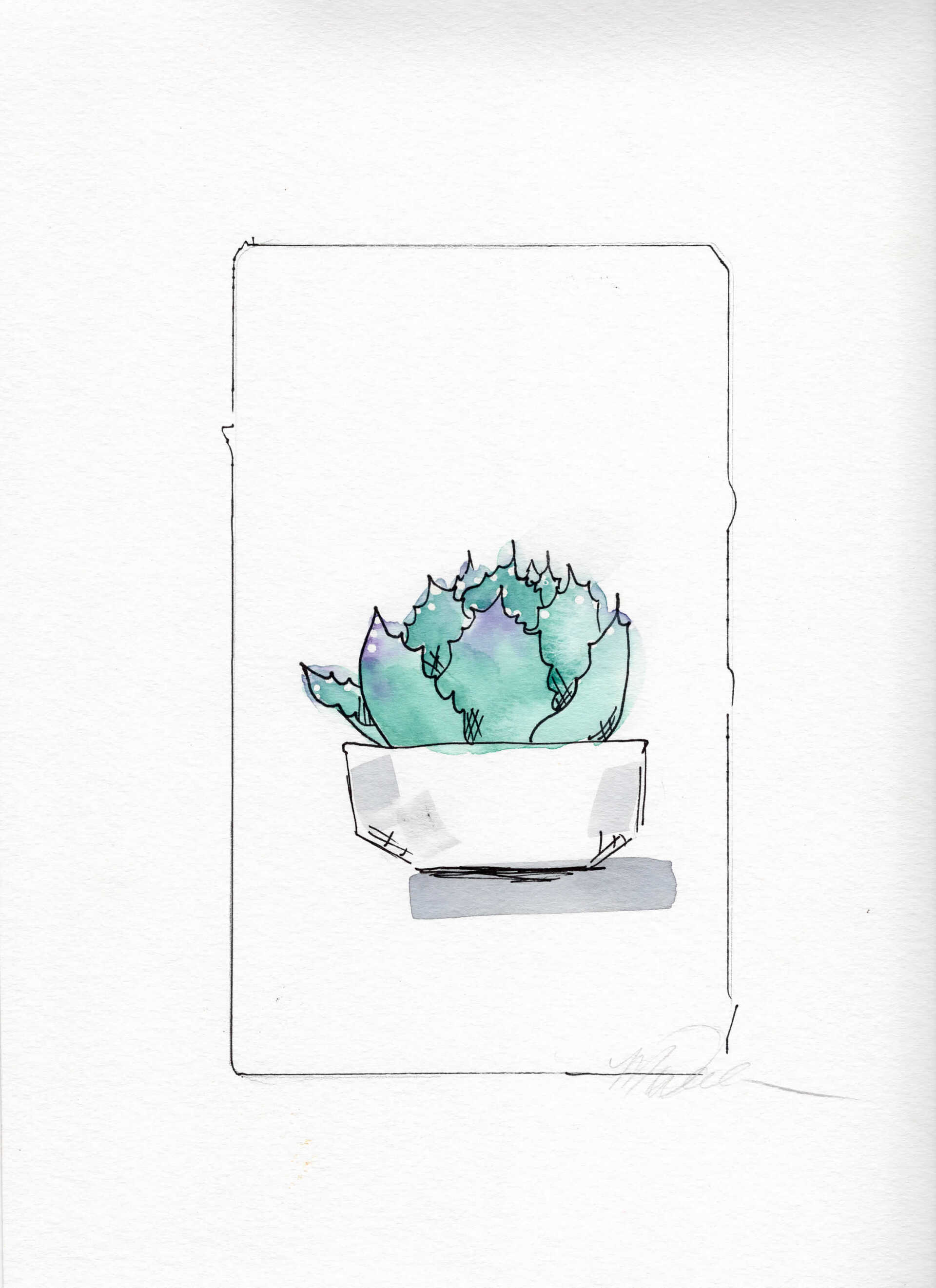 cactus custom illustrations commissions lease art home decor hotels