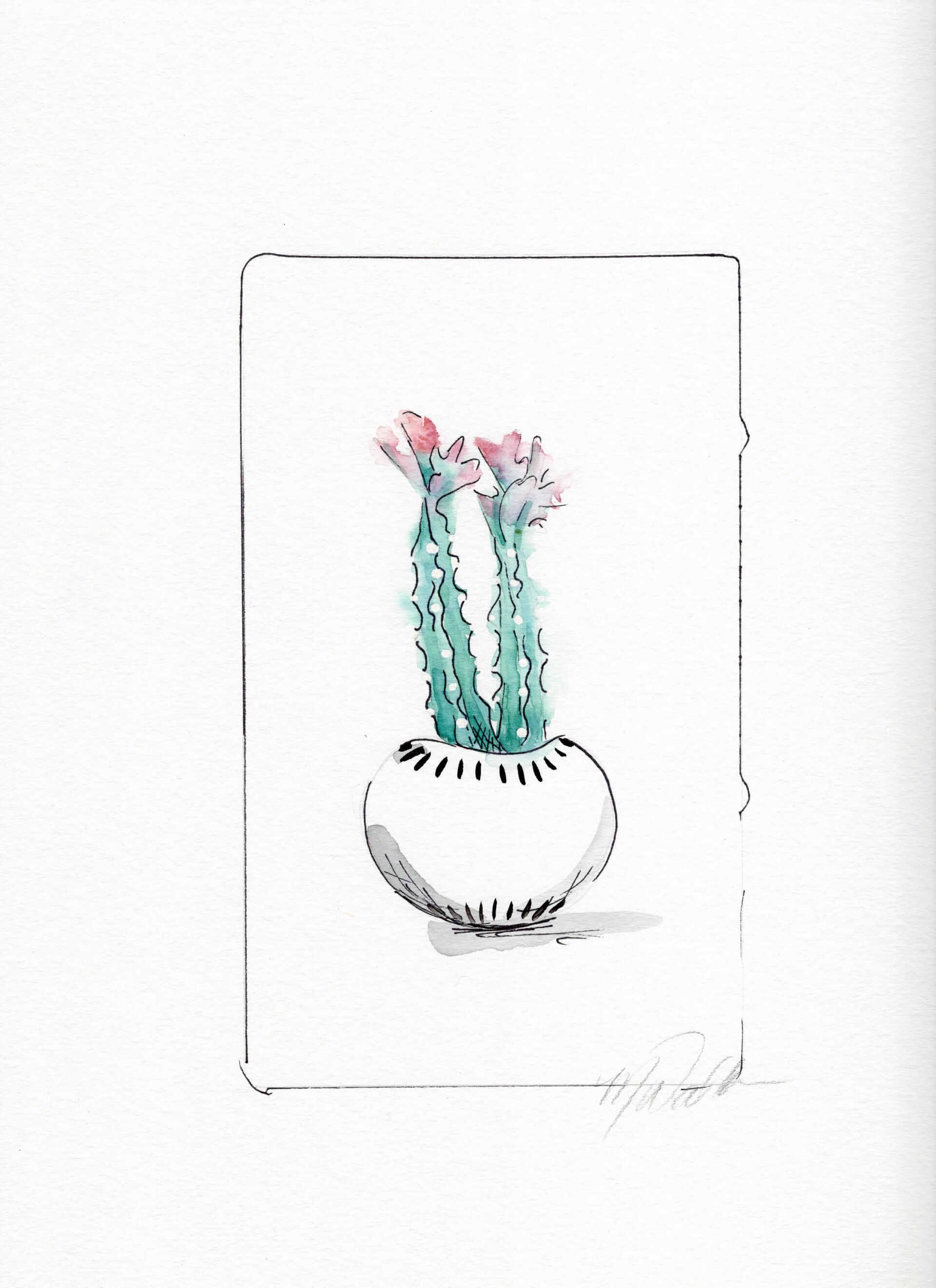 cactus custom illustrations commissions lease art home decor hotels