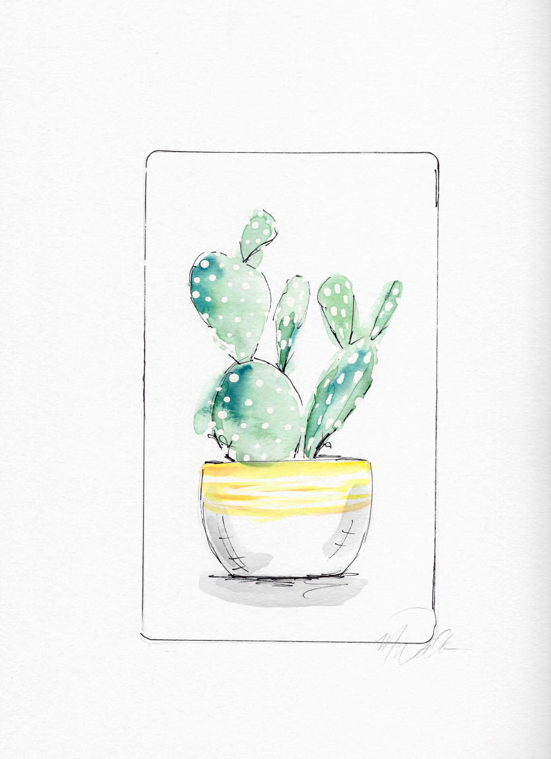 cactus custom illustrations commissions lease art home decor hotels