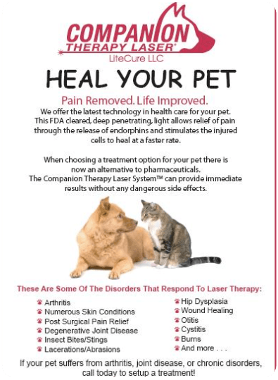 Companion Therapy Laser