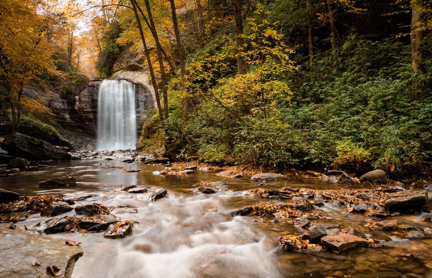 Waterfall Photo