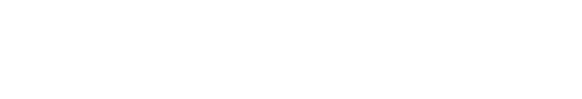 Fanelli enterprises logo