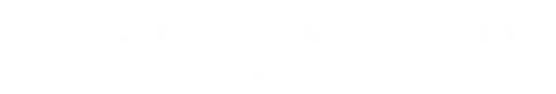 Fanelli enterprises logo
