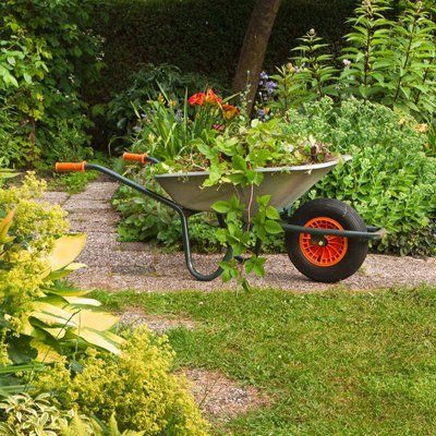 lawn care