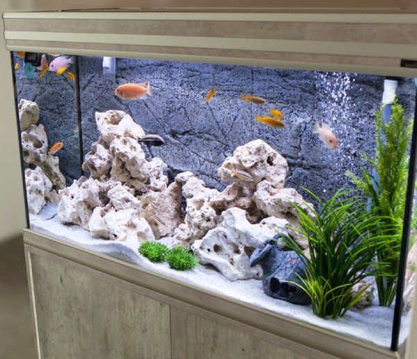 Vasca per acquario